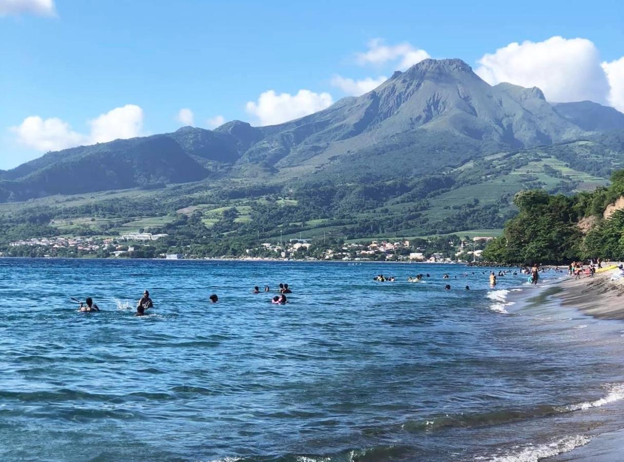 ル・カルベ Carribbean Madicreole Au Carbetヴィラ エクステリア 写真