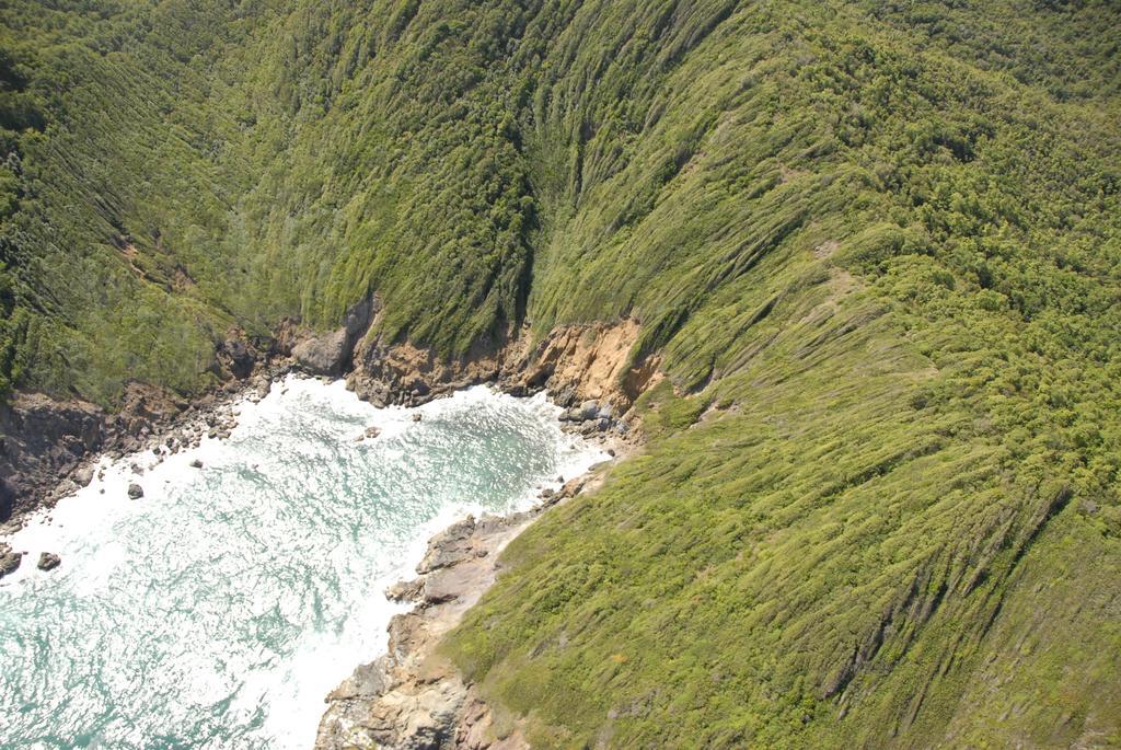 ル・カルベ Carribbean Madicreole Au Carbetヴィラ エクステリア 写真