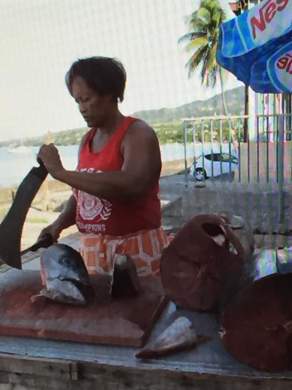 ル・カルベ Carribbean Madicreole Au Carbetヴィラ エクステリア 写真